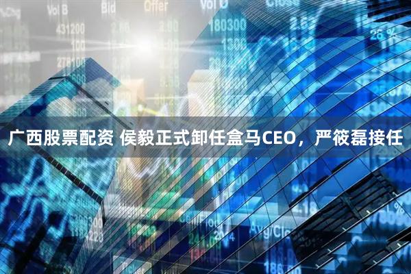 广西股票配资 侯毅正式卸任盒马CEO，严筱磊接任