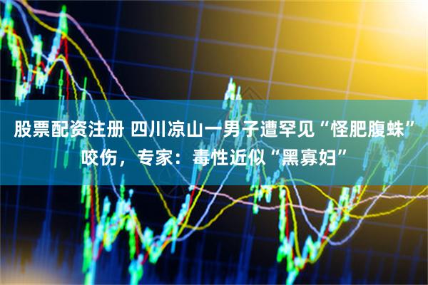 股票配资注册 四川凉山一男子遭罕见“怪肥腹蛛”咬伤，专家：毒性近似“黑寡妇”